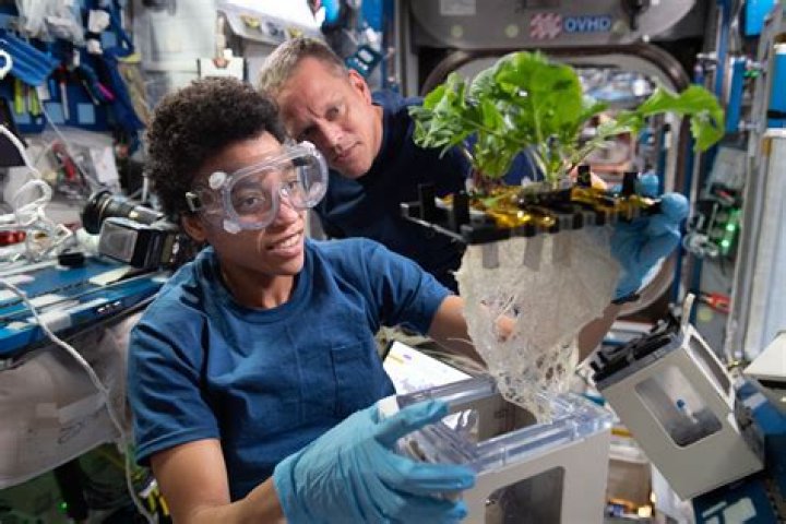 An Artistic Odyssey Of Discovery And Innovation