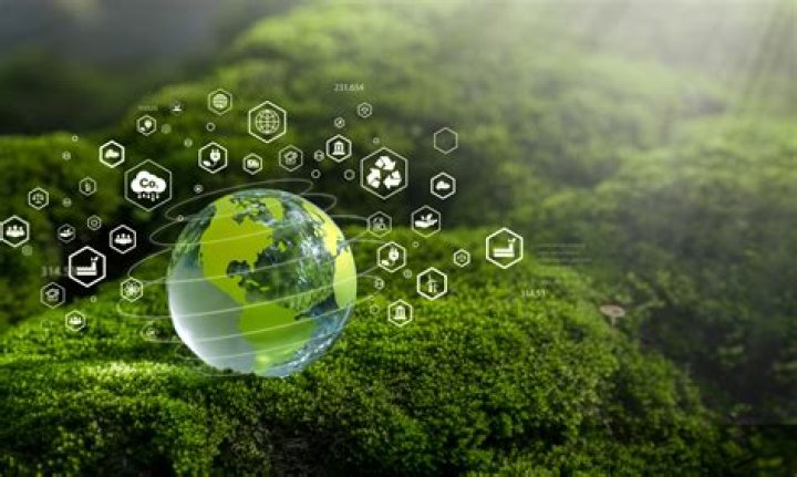 Discoveries And Insights For Sustainability