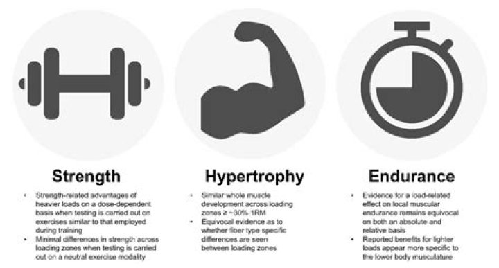 Uncovering Strength, Power, And Performance